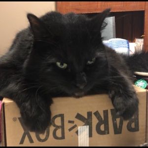 Meet your Posher, Butch